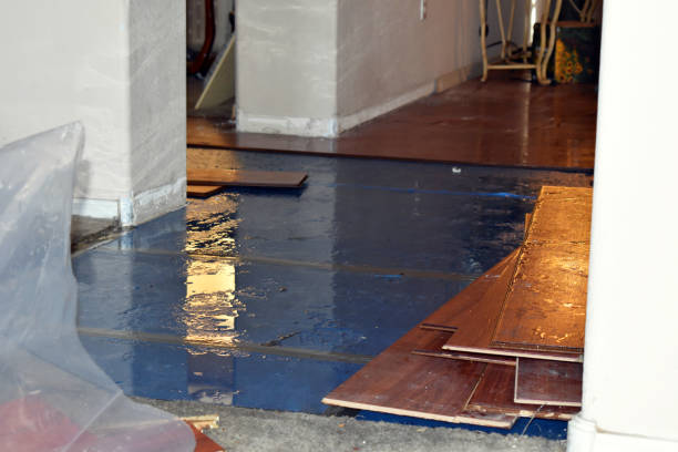 Professional Burst Pipe Cleanup technician working in Buckland, MA