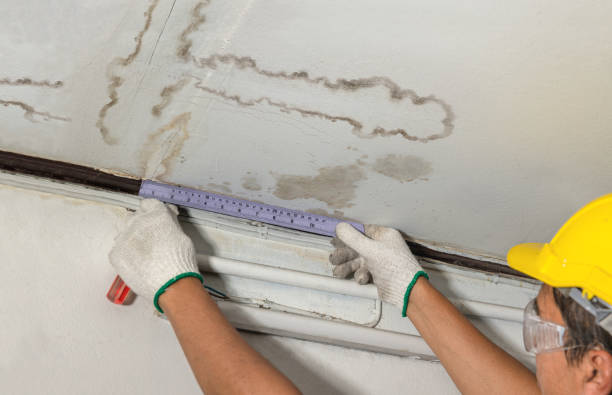 Reliable Burst Pipe Cleanup contractor in Buckland, MA by Water Damage Irwin